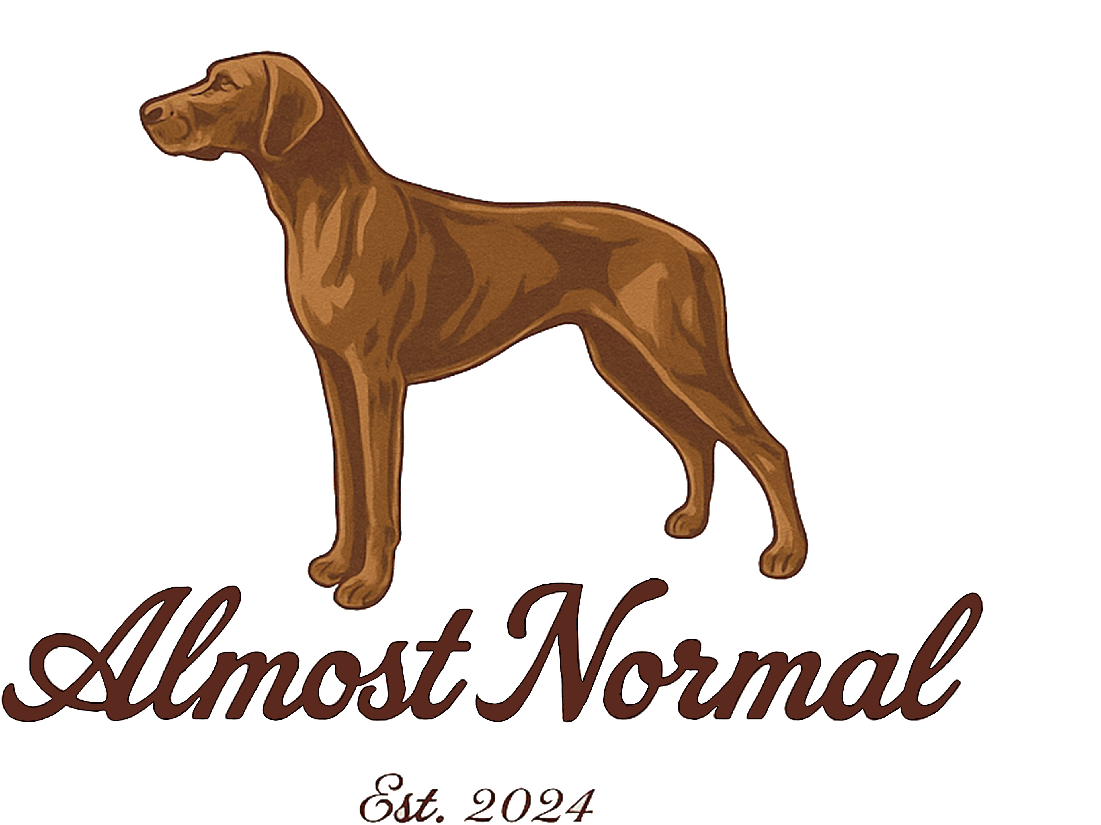 Almost Normal Clothing